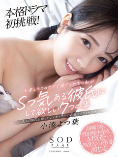 小凑四叶