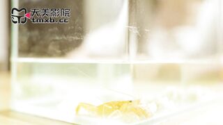 【天美传媒TMW206】乐奈子【肆意玩弄主人骚逼・羞耻沉沦螯虾肉棒】高清1080P原版首发【TMW206】