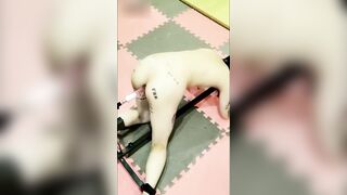 抖音 70 万粉丝网红 妹妹别哭 被金主绑在椅子上各种 SM 调教直播 其抖音已经停更！