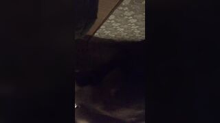 偷情烈焰红唇骚嫂子，哥哥外出打工，我就来承担疏通嫂子骚逼的工作吧
