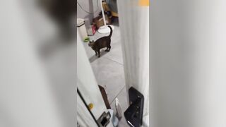 操心没有用，操妹妹才有用！妹妹大半夜喝酒回家被亲哥埋怨，把正在洗澡的妹妹上了！