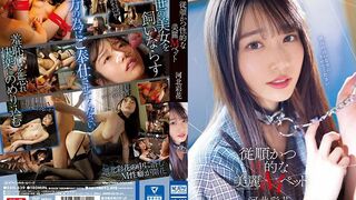 SSIS-839 [新模型无码破解] 顺从又听话的美丽宠物 - 河北彩花
