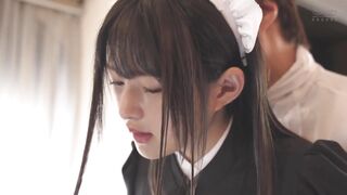 ZEX-421 [中文字幕] 女僕教育 墮落貴族 渚光希