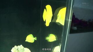 TEK-073 [中文字幕] 如果三上悠亞是我女友的話 三上悠亚