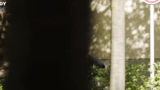 小十三 Little Thirteen 德国三级