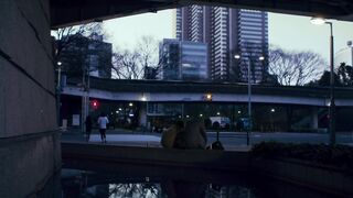 手 日本三级