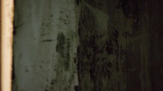 无限春光 日本三级