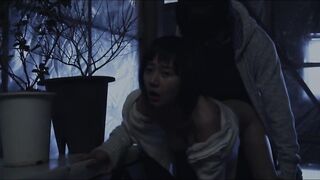 陷阱：致命的诱惑 덫, 치명적인 유혹 韩国三级