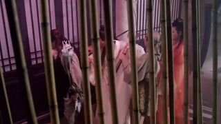 聊斋艳谭之灯草和尚 香港三级