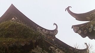 西厢艳谭 香港三级