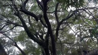 你一定要帮帮我老公”太太为了拯救冤狱的老公，用尽一切方法贿络典狱
