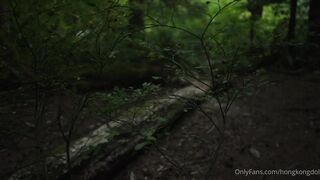 森林系列第一集「旧识相遇」