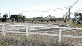 【果冻传媒】高梨遥香【私人玩物2】海边露出连续高潮，高清720P原版首发【91CM-245】.x264.aac