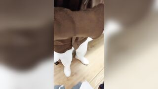 大热天打扮新人妹子，约个小哥哥带到酒店里面露脸口交，手持镜头啪啪射在外阴上