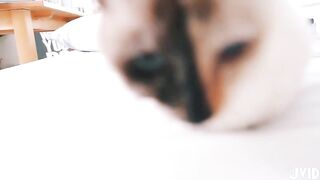 【美乳女神】到友人家看貓被強制高潮，全身顫抖 白色汁液，高清私拍，高清1080P原版